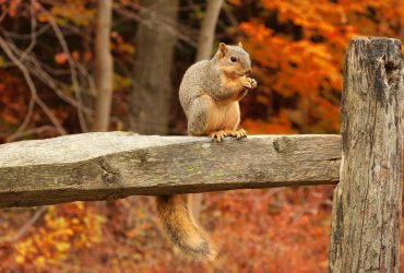Ритуалы в день осеннего равноденствия: на любовь, счастье и здоровье
