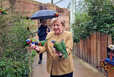 Меркель кумедно сфотографувалась з папугами: кадри розлетілись на меми