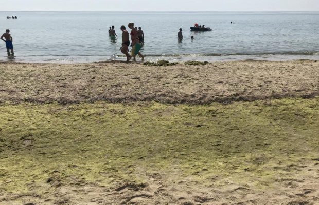 В Одесской области после открытия пляжного сезона два человека подорвались на мине