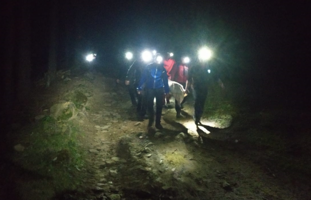 У Карпатах прогримів вибух: загинули двоє туристів, ще чотирьох травмовано (відео)