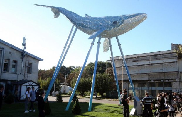 У Києві з'явилася екоскульптура кита: як вона працює і де знайти (фото, відео)