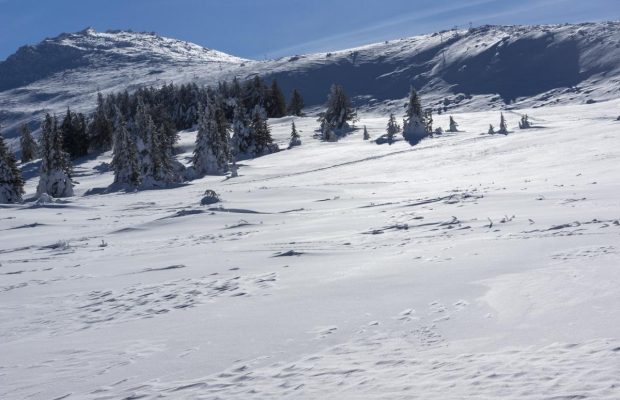 У Мінтуризму Болгарії розповіли, чим збираються заманювати українських туристів взимку
