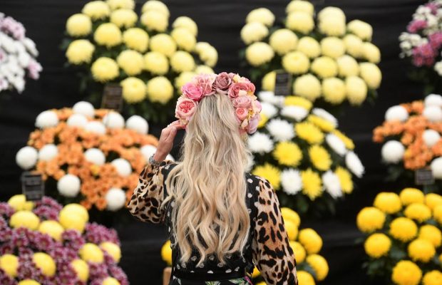 У Лондоні після дворічної перерви відкривається грандіозна виставка квітів Челсі (фоторепортаж)