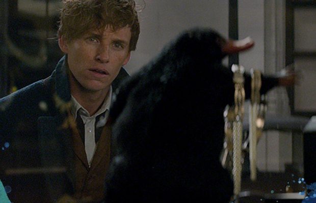 Стало відомо, коли вийде третя частина "Фантастичних звірів"