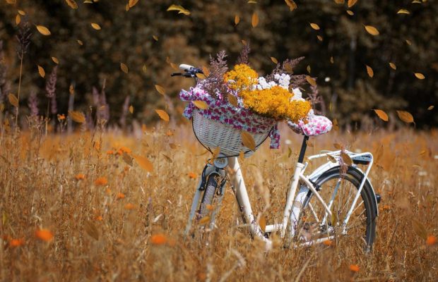 28 вересня 2021 - яке сьогодні свято, прикмети та іменинники, що сьогодні не можна робити