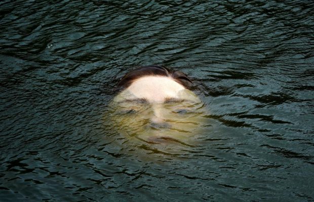 Дівчина, яка тоне: скульптура наробила переполох в іспанському Більбао (фоторепортаж, відео)