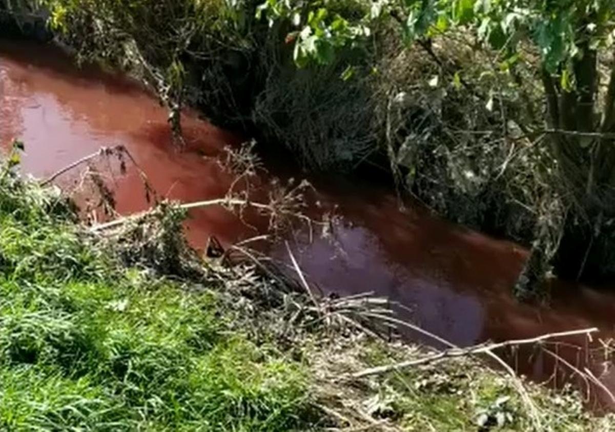 Река во Львовской области приобрела аномальный цвет / скриншот Река во Львовской области приобрела аномальный цвет / скриншот