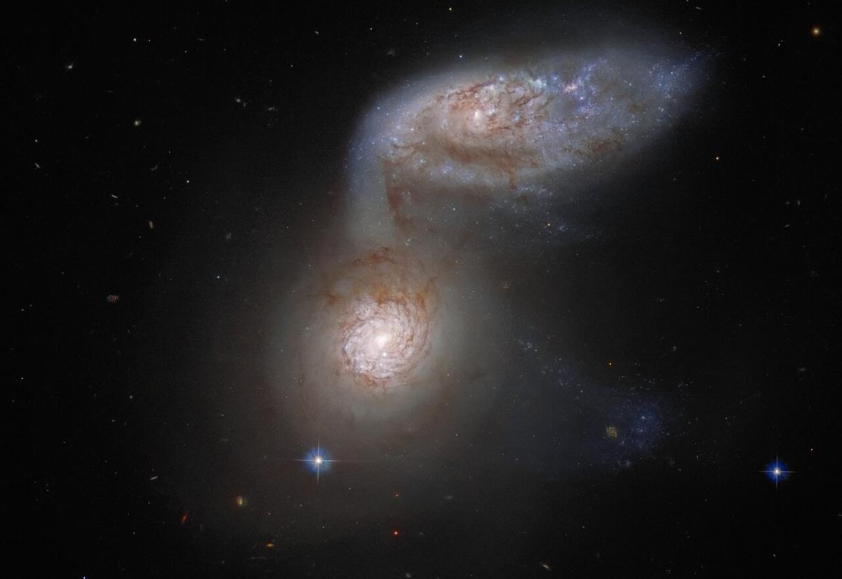 Обидві галактики є спіральними, але виглядають по-різному / фото ESA/Hubble & NASA, J. Dalcanton Обидві галактики є спіральними, але виглядають по-різному / фото ESA/Hubble & NASA, J. Dalcanton