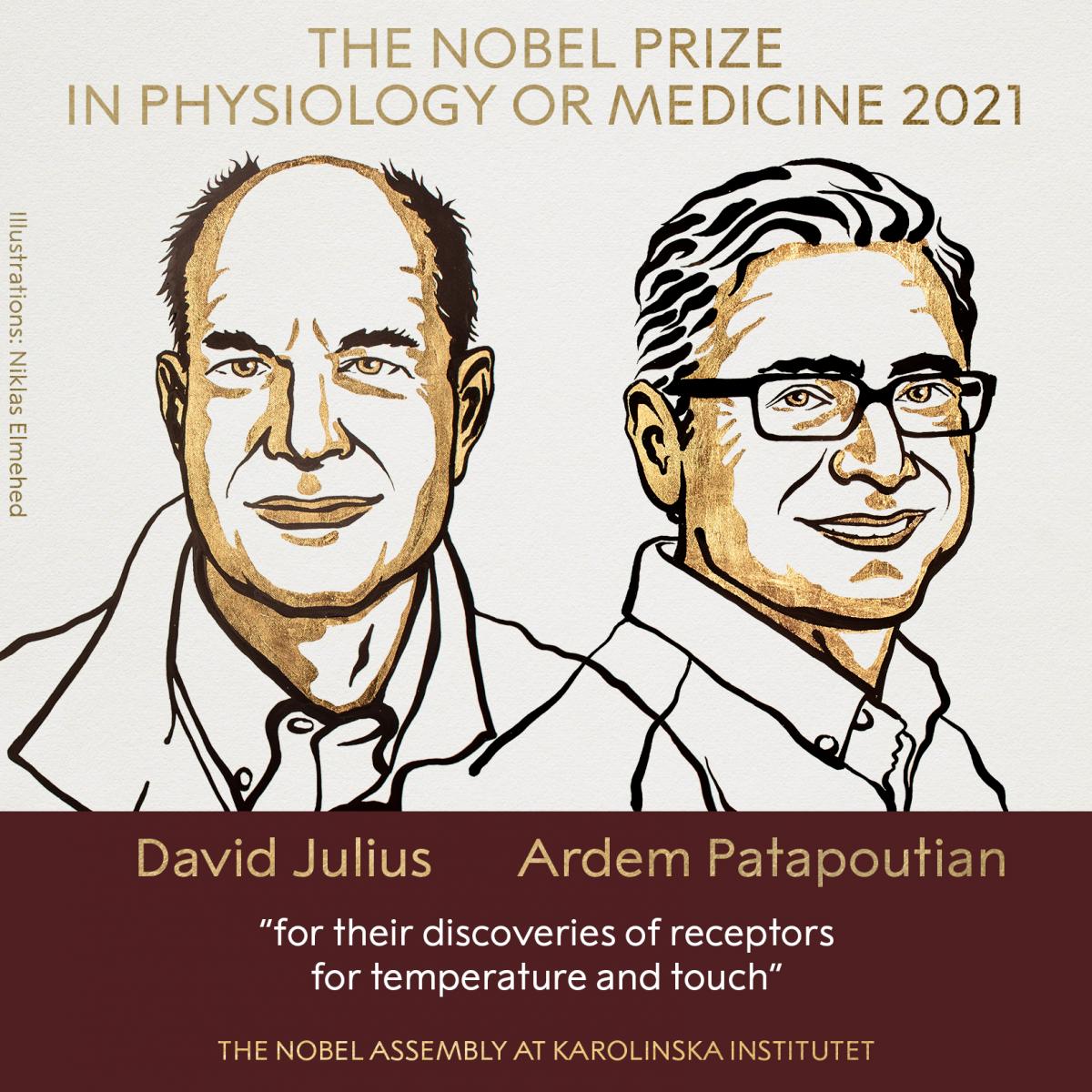 Нобелевская премия по медицине в 2021 году / фото twitter.com/NobelPrize