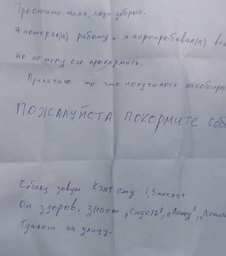 Господар залишив записку, пояснивши причину / фото zabor.zp.ua