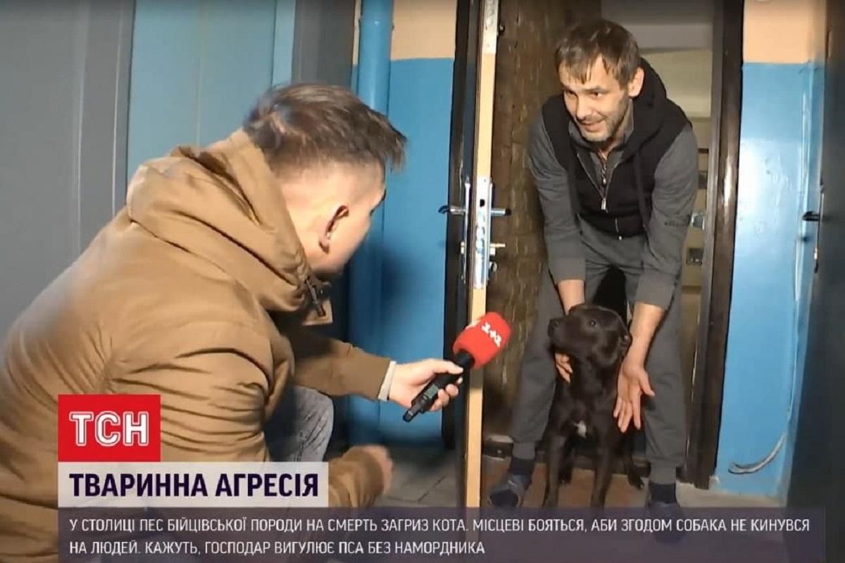 Женщина, которая кормила кошку, уже написала заявление в полицию / скриншот из видео Женщина, которая кормила кошку, уже написала заявление в полицию / скриншот из видео