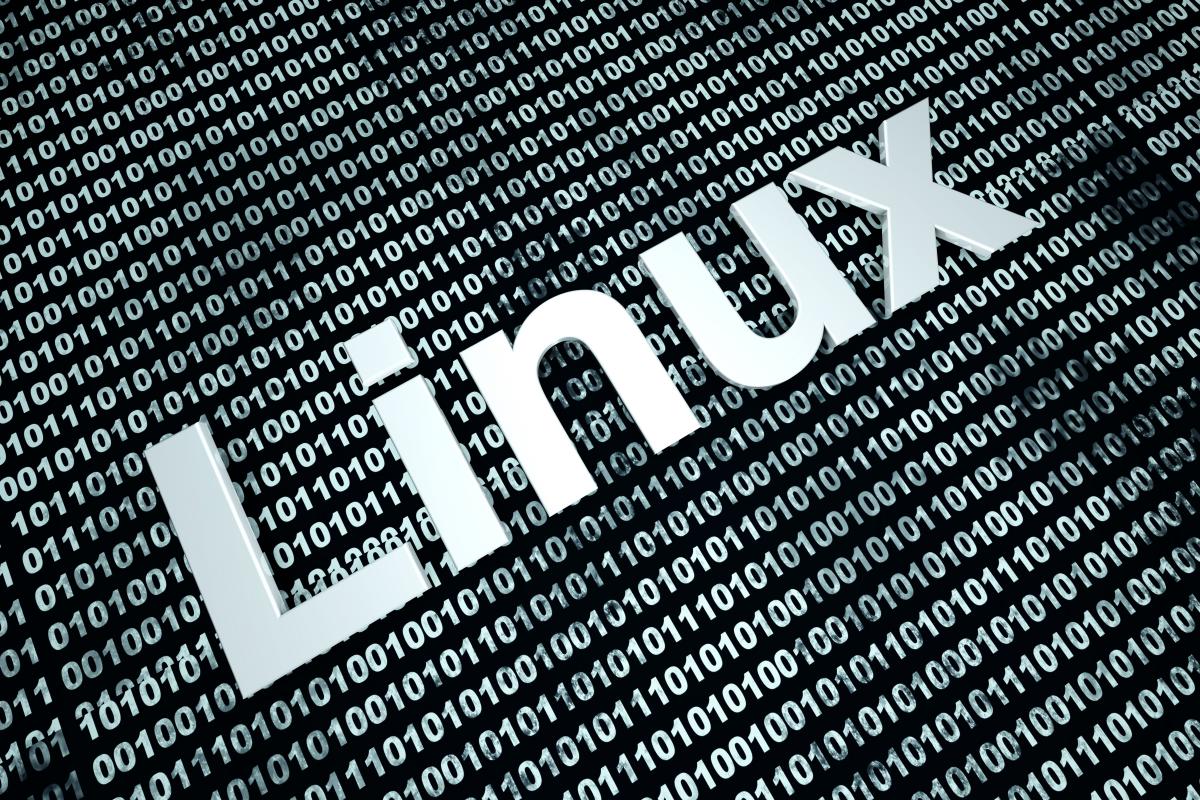 Новое семейство вредоносных программ нацелено на ОС Linux / фото ua.depositphotos.com