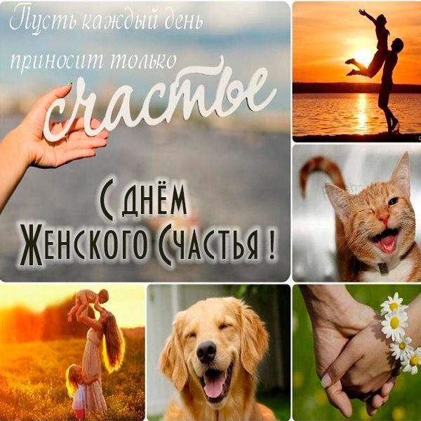 С Днем женского счастья / фото fresh-cards.ru