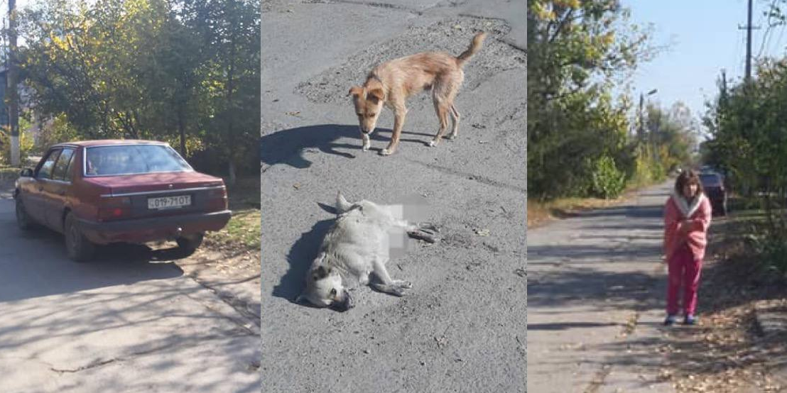 В Одеській області перехожі побили жінку, яка на авто збила вагітну собаку / Скріншот