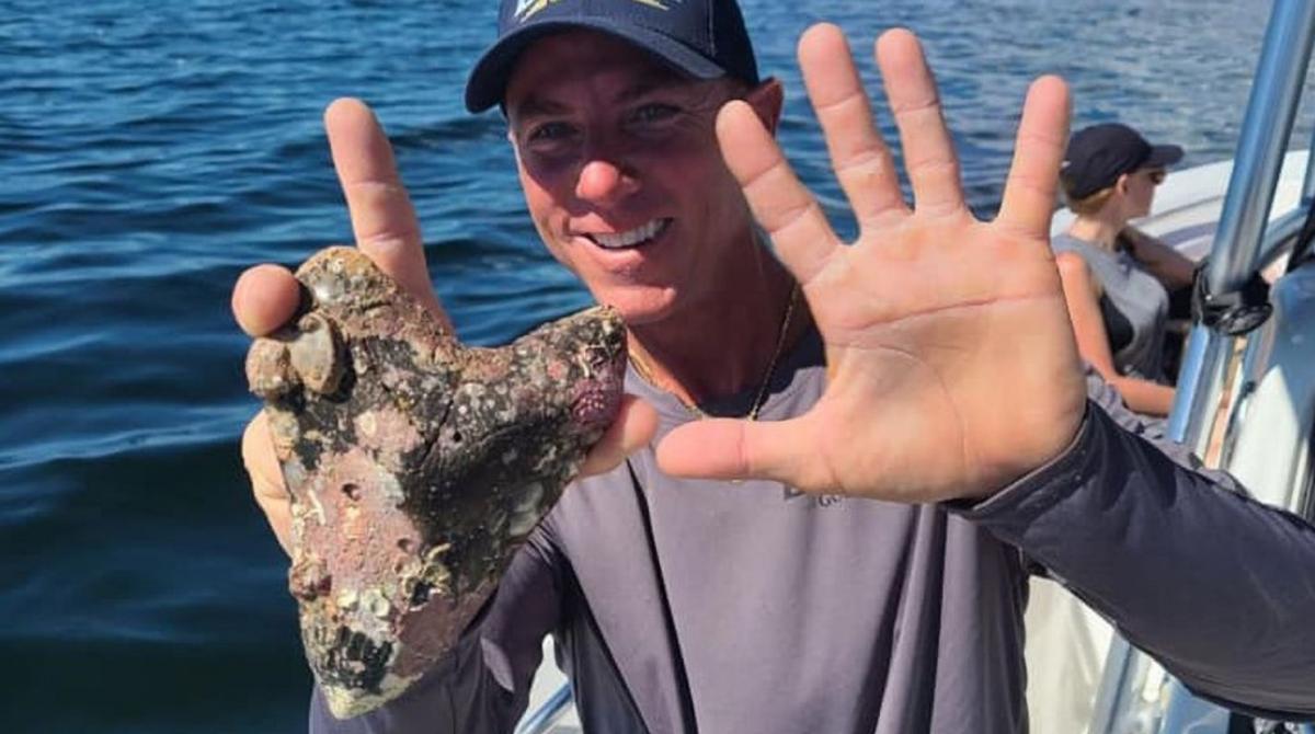 За словами дайвера, це найбільша його знахідка за все життя / фото Black Gold Fossil Charters За словами дайвера, це найбільша його знахідка за все життя / фото Black Gold Fossil Charters