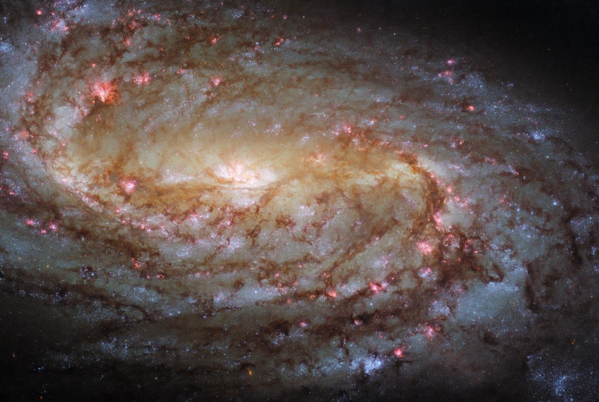 Галактика NGC 2903 розташована в сузір'ї Лева / фото ESA/Hubble & NASA, L. Ho, J. Lee and the PHANGS-HST Team Галактика NGC 2903 розташована в сузір'ї Лева / фото ESA/Hubble & NASA, L. Ho, J. Lee and the PHANGS-HST Team
