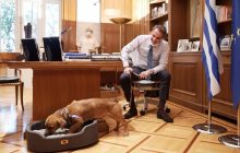 Собака премьера Греции сорвала его встречу с лидером Словакии