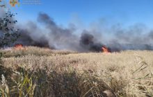 У Балаклії сталась масштабна пожежа, вогонь майже дістався будинків (фото, відео)