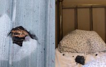 Метеорит пробил крышу и рухнул на подушку спящей женщины (фото)
