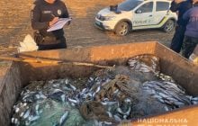 В Одесской области задержали двух браконьеров, наловивших кефали на миллион гривень