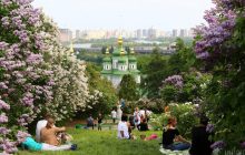 У ботсаду в Києві чоловік побив битою няню з малюком у візочку – ЗМІ (фото)