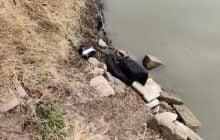 Тело в канале: в Одесской области мужчину убили камнем (фото)