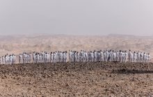 Відомий американський фотограф організував голу фотосесію біля Мертвого моря (фоторепортаж)