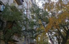 В Киеве во время пожара погибли пожилые супруги: СМИ сообщили о смерти выдающегося академика НАНУ