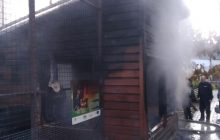 В Луцке загорелся зоопарк: погибло семейство обезьянок