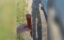 В Канаде водитель-флейтист очень необычно нарушил ПДД (фото)