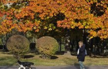 9 листопада 2021 - яке сьогодні свято, прикмети та іменинники, що сьогодні не можна робити