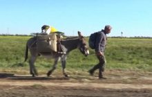 Житель Німеччини кинув все й відправився в навколосвітню подорож з віслюком (відео)