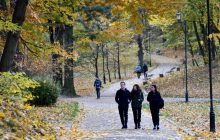Температурные "качели" и дожди: синоптик дала прогноз погоды на начало ноября