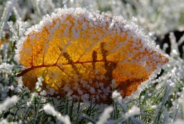 В Україні на два дні оголосили І рівень небезпечності