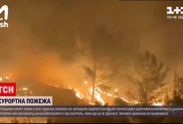 В Турции снова горят леса