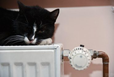 Стало известно, когда в Киеве жилым домам светят теплые батареи