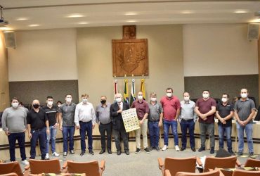 Місто в Бразилії оголосило українську своєю офіційною мовою