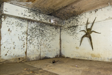 У Лондоні обрали найкращі фото дикої природи 2021 року: приголомшливі знімки