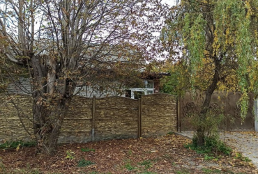 Видовище моторошне було: ЗМІ дізналися подробиці загибелі пенсіонерки від нападу собак у Харкові