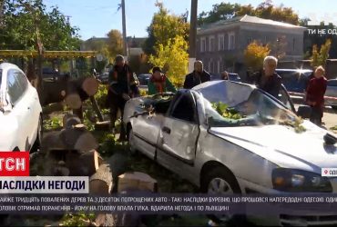 На трасі Львів-Шегині вітер утворив піщану бурю