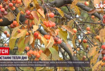Сьогодні в Україні буде тепла і вітряна погода