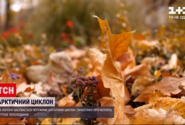 На країну насувається потужний арктичний циклон