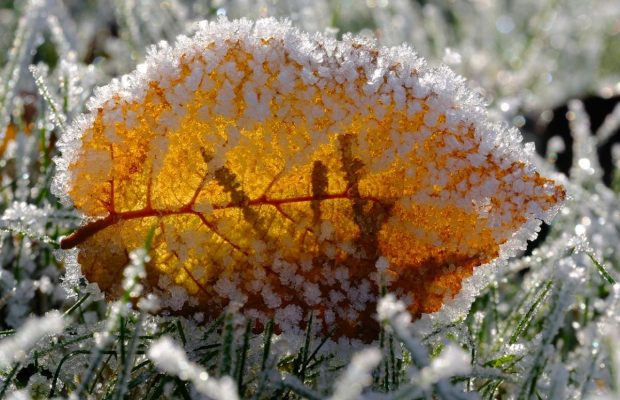 10 декабря 2021 - какой сегодня праздник, приметы и именинники, что сегодня нельзя делать