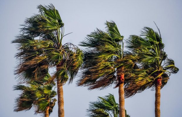 У Франції через штормовий вітер зупинилися поїзди, знеструмлені сотні тисяч будинків (відео)