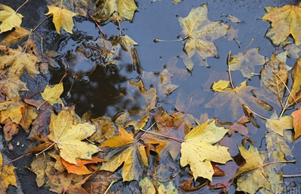 26 жовтня 2021 - яке сьогодні свято, прикмети та іменинники, що сьогодні не можна робити