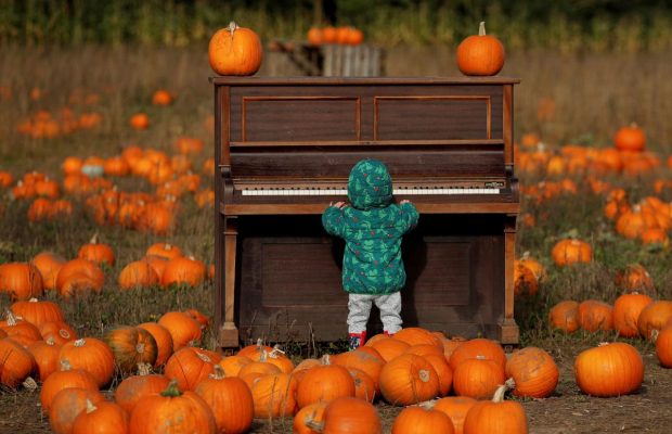 21 ноября 2021 - какой сегодня праздник, приметы и именинники, что сегодня нельзя делать