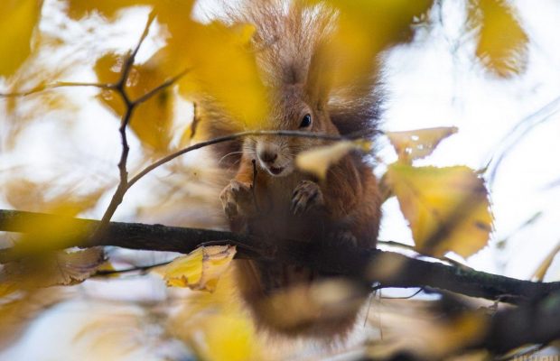 20 ноября 2021 - какой сегодня праздник, приметы и именинники, что сегодня нельзя делать