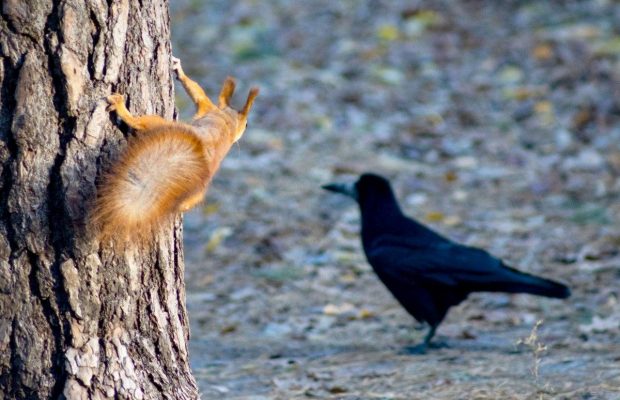 31 жовтня 2021 - яке сьогодні свято, прикмети та іменинники, що сьогодні не можна робити