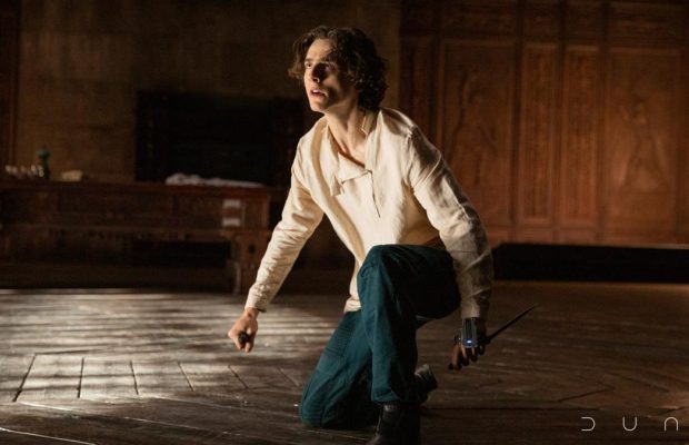 "Дюну" Вильнева официально продлили на вторую часть: когда выйдет в кино