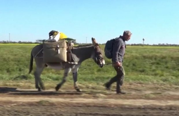 Житель Германии бросил все и отправился в кругосветное путешествие с осликом (видео)